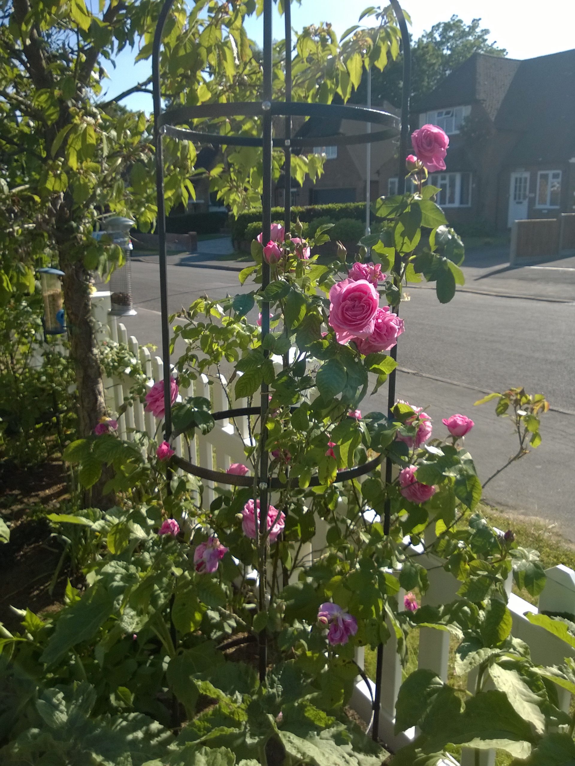Install a climbing frame on a decorative stake