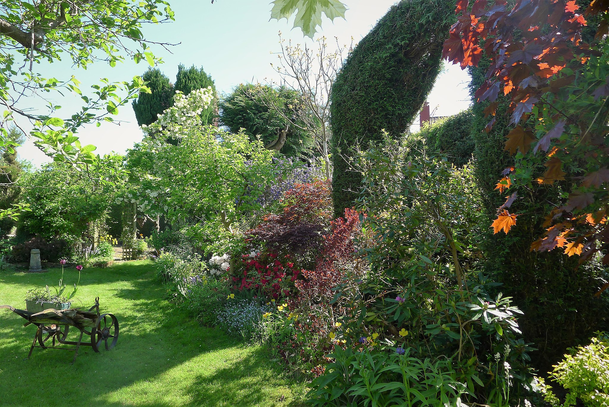 May in the garden: planting and maintenance