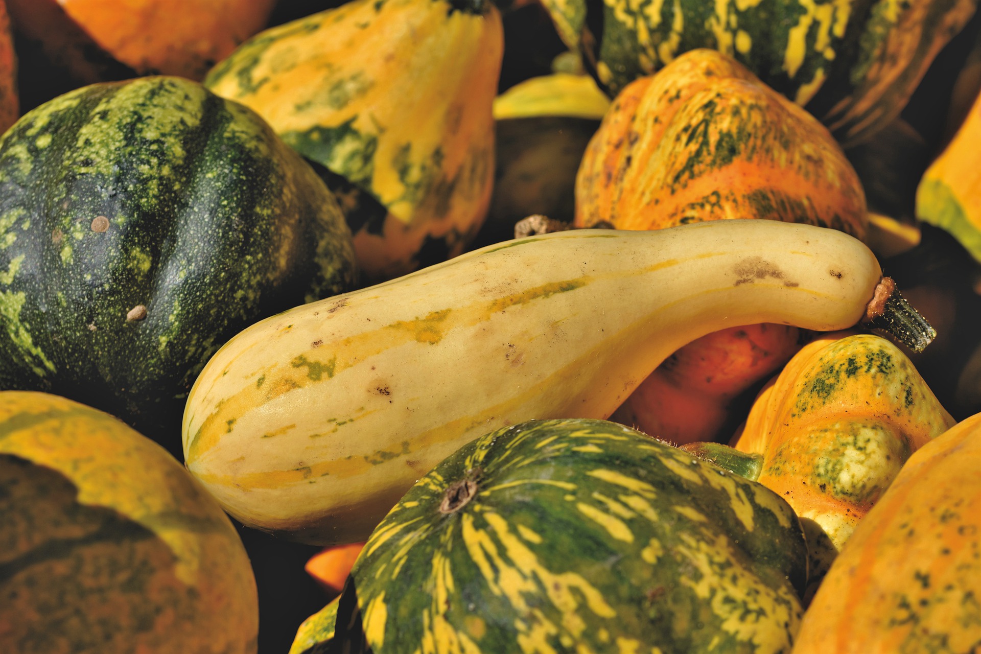 Mulch the squash