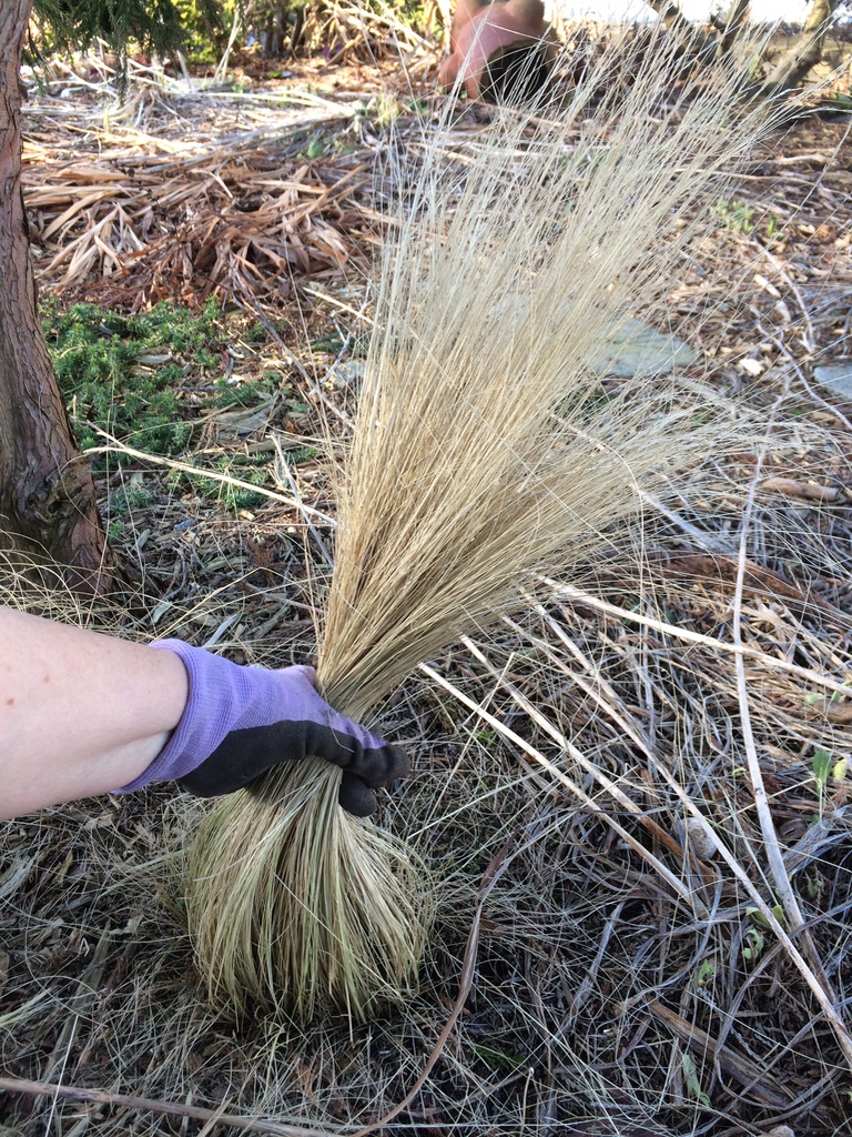 Grass pruning
