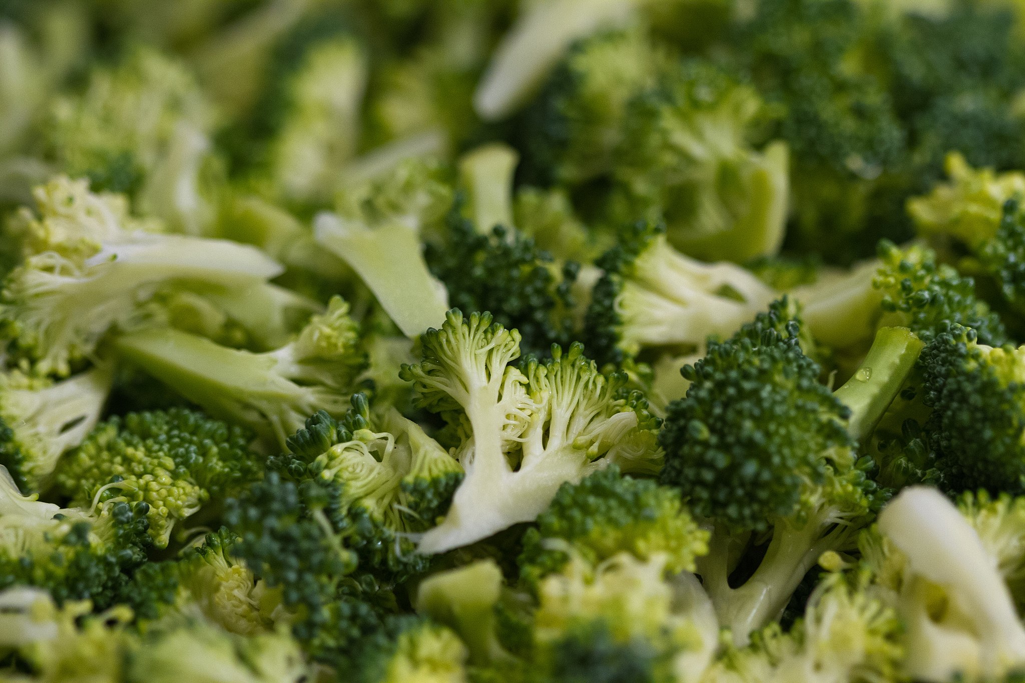 How to water broccoli: tips and method
