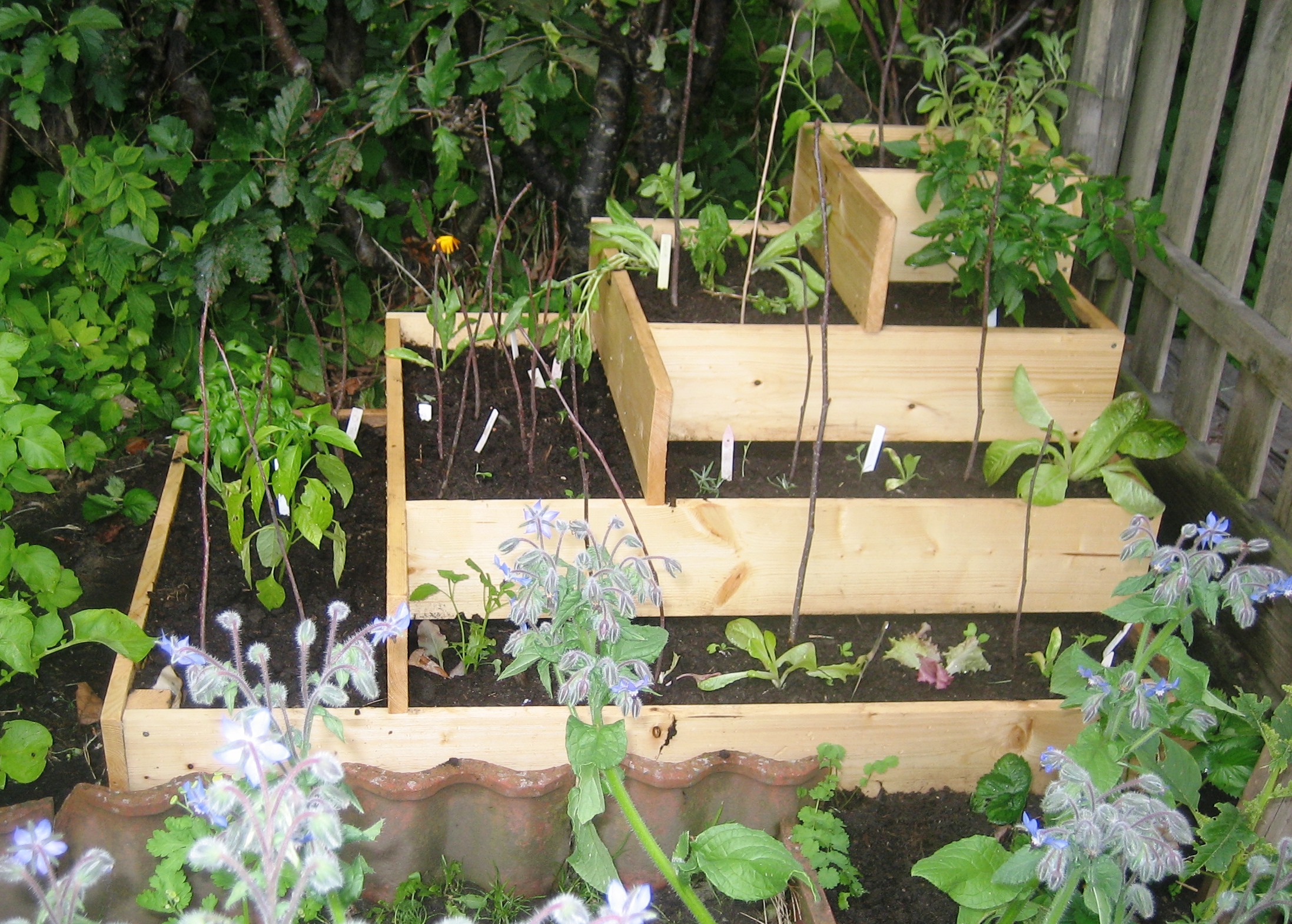 Fruits, vegetables and herbs on the balcony and on the terrace
