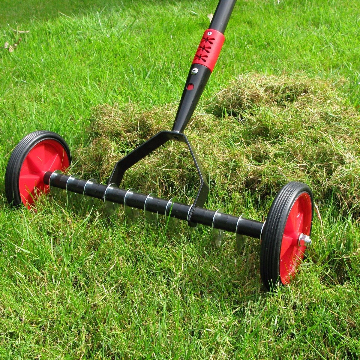 Scarifying the lawn: eliminating moss