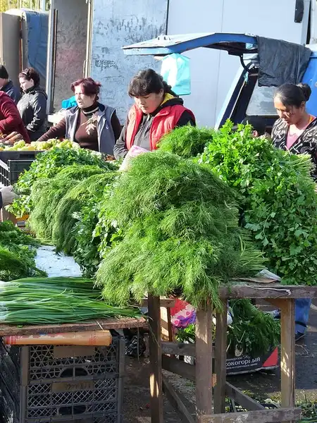 Photo of Anethum graveolens - At Market:Michael Clarke