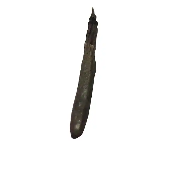 Foto de Anthriscus cerefolium - Seed Pod:Elric04