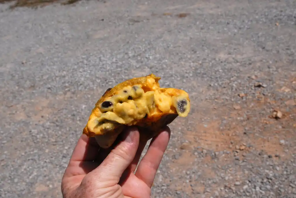 Photo of Asimina triloba - Asimina triloba Seed:Jim Robbins