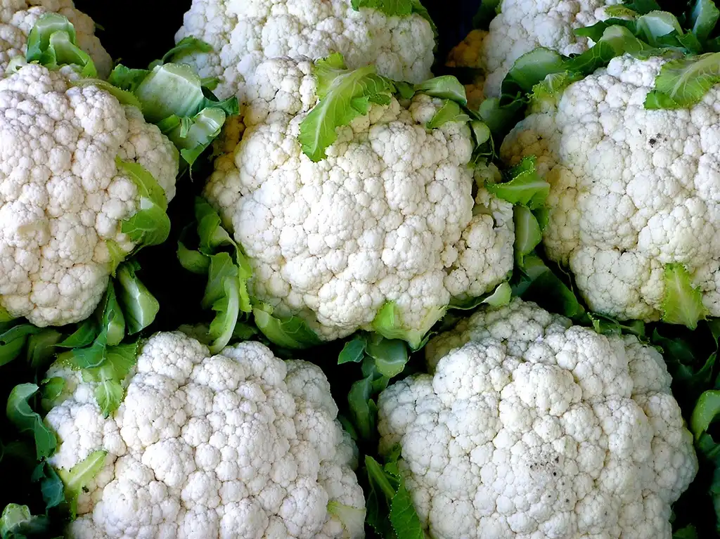 Foto de Brassica oleracea (Botrytis Group) (Brassica oleracea (Botrytis Group)s)