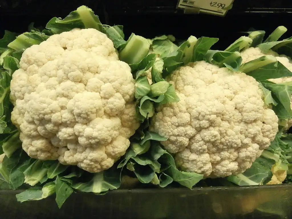 Фото Brassica oleracea (Tronchuda Group) - Cauliflower:Jeffery Martin
