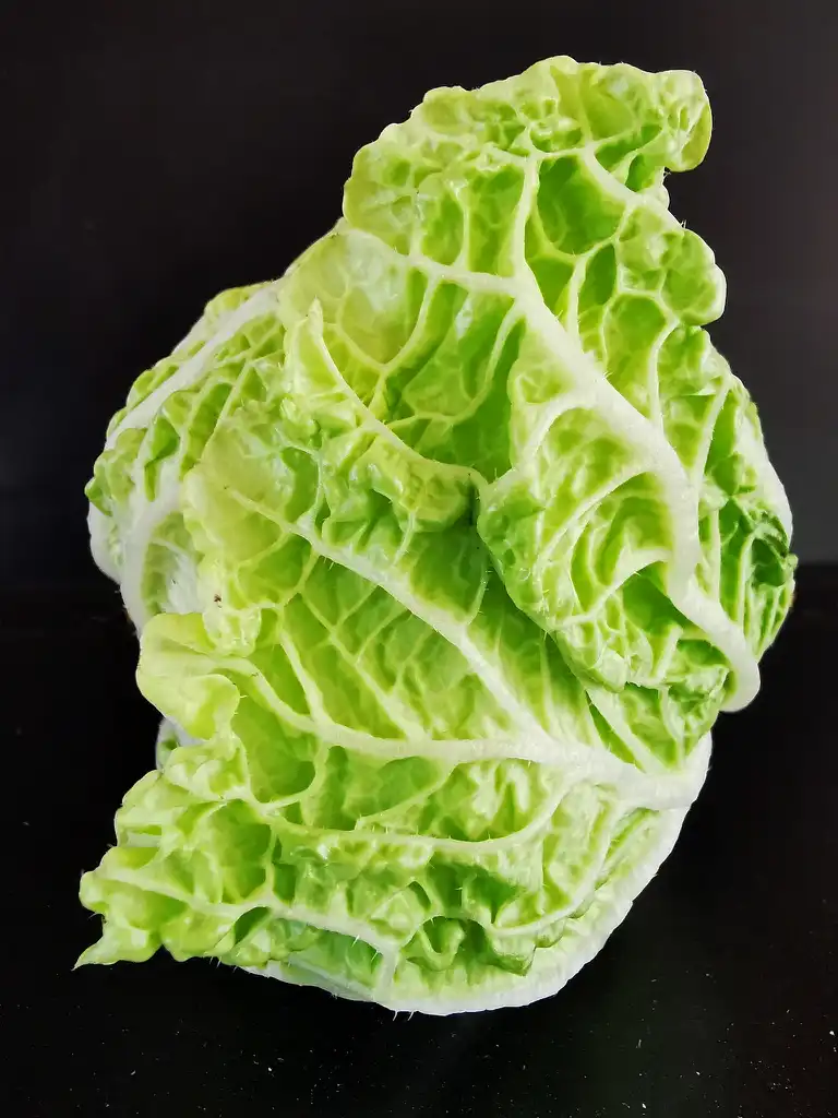 Фото Brassica rapa (Pekinensis Group) - Harvest:Dolf van der Haven