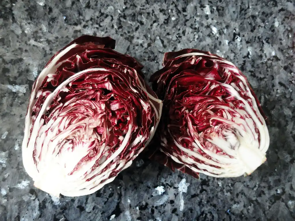 Foto de Cichorium intybus - Radicchio, a cultivated variety:Luis Cordova