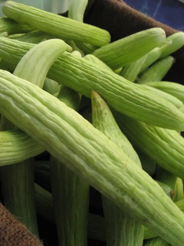 Photo of Cucumis melo var. flexuosus (Cucumis melo var. flexuosuss)