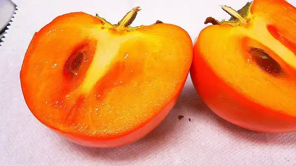 Photo of Diospyros kaki 'Hana Gosho' (Diospyros kaki 'Hana Gosho's)