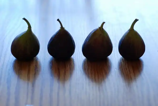 Photo of Ficus carica 'Brown Turkey' - Fruit:Photo by madika