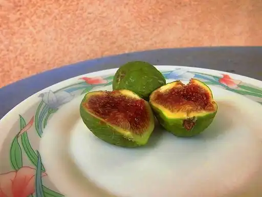 Foto de Ficus carica 'Marseille' (Ficus carica 'Marseille's)