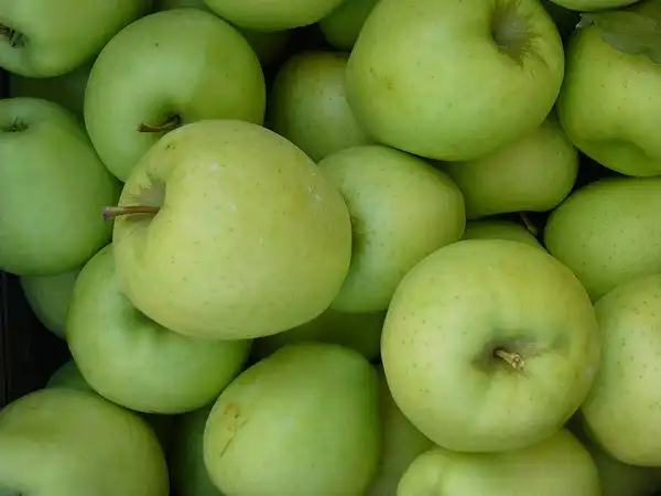 Фото Malus domestica 'Ginger Gold' (Malus domestica 'Ginger Gold's)