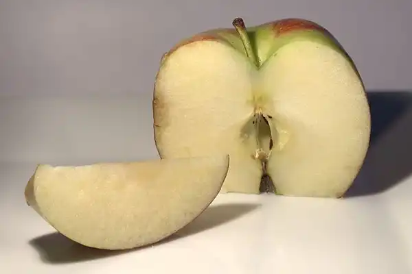 Foto de Malus domestica 'Jonagold' (Malus domestica 'Jonagold's)