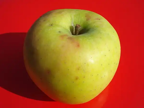 Фото Malus domestica 'Mutsu' (Malus domestica 'Mutsu's)