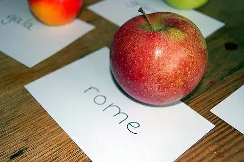 Фото Malus domestica 'Rome' (Malus domestica 'Rome's)