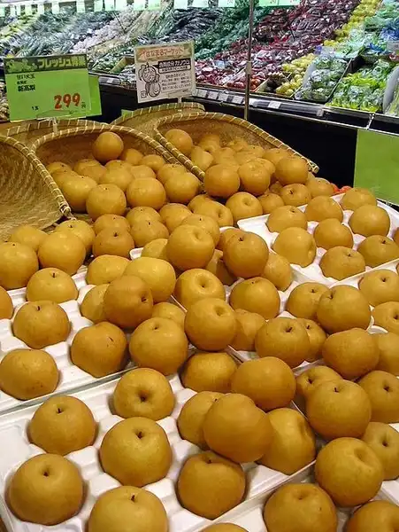 Foto de Pyrus pyrifolia 'Niitaka' (Pyrus pyrifolia 'Niitaka's)