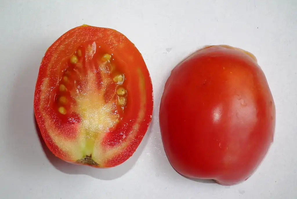Photo of Solanum lycopersicum - inside of fruit:Ramesh NG
