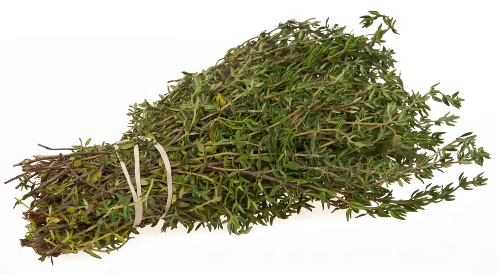 Photo of Thymus - Thyme Bundle:Evan-Amos